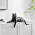 Indie The Little Cat // Black