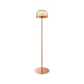 Rose Gold Iron and Champagne Glass Floor Lamp