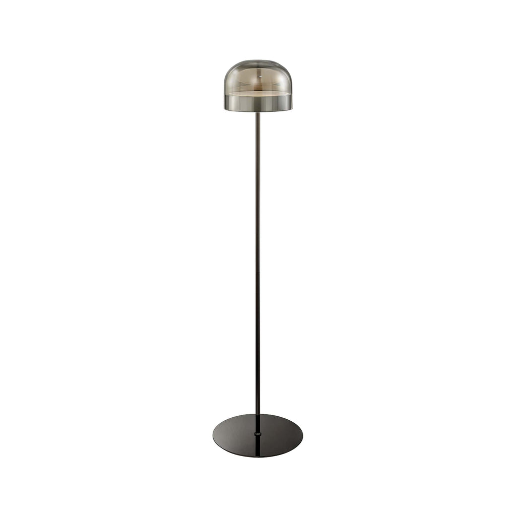 Black Iron and Smoky Glass Floor Lamp