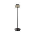 Black Iron and Smoky Glass Floor Lamp