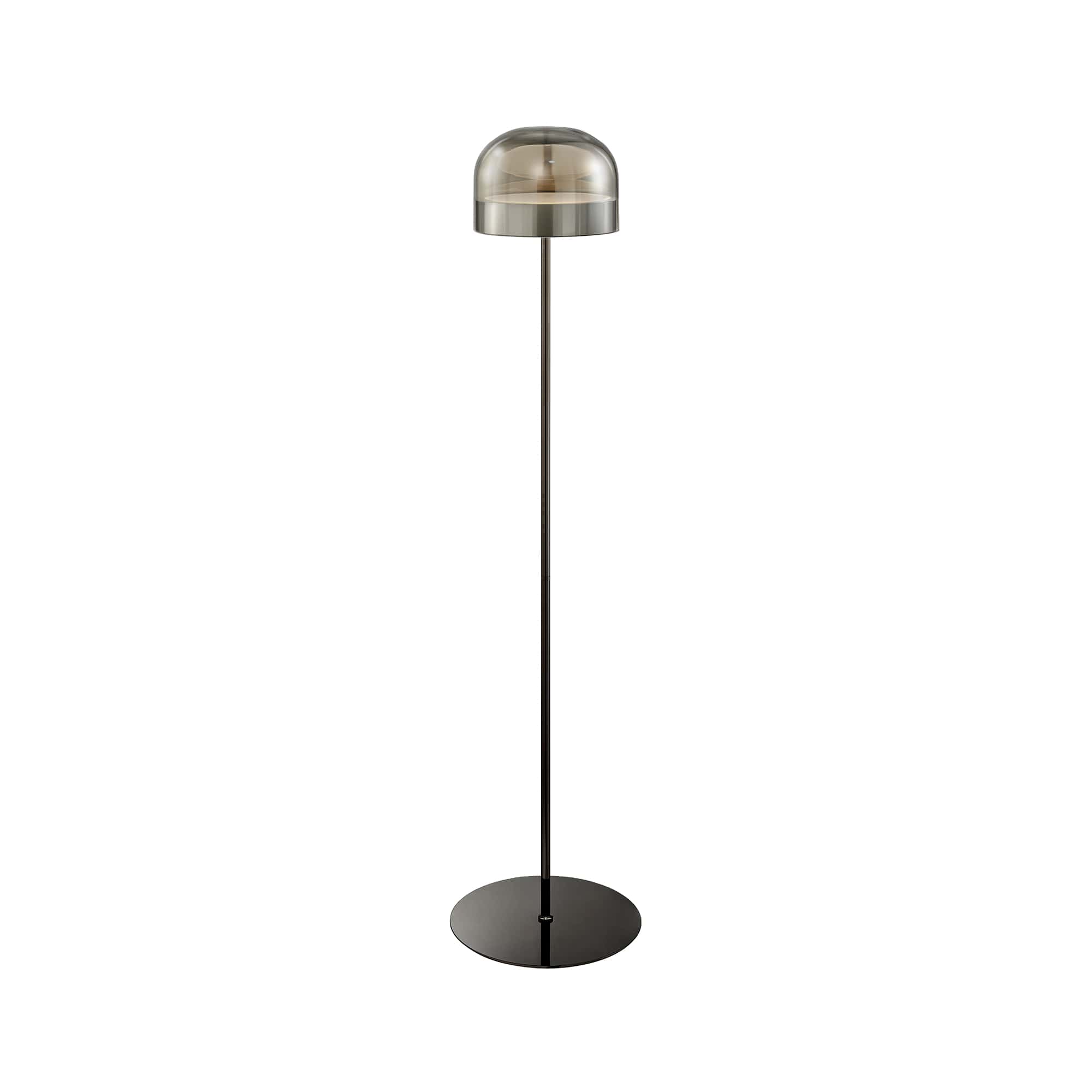 Black Iron and Smoky Glass Floor Lamp